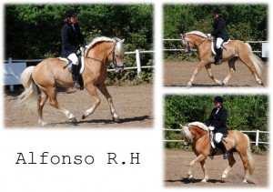 27252-anfonso_faerdig_1  